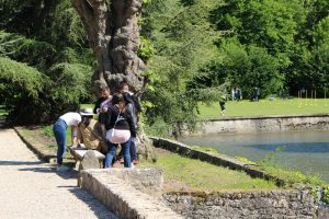 course orientation lyon